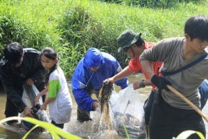 Antusiasme anak dan dewasa membersihkan sungai. 