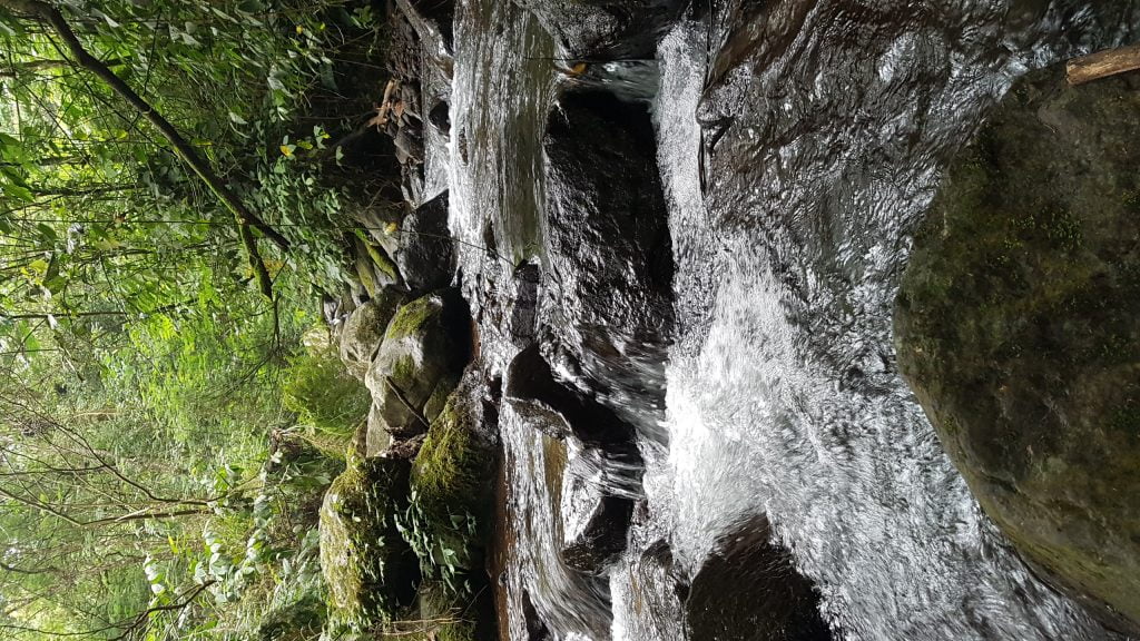 Keuskupan Sufragan Bogor